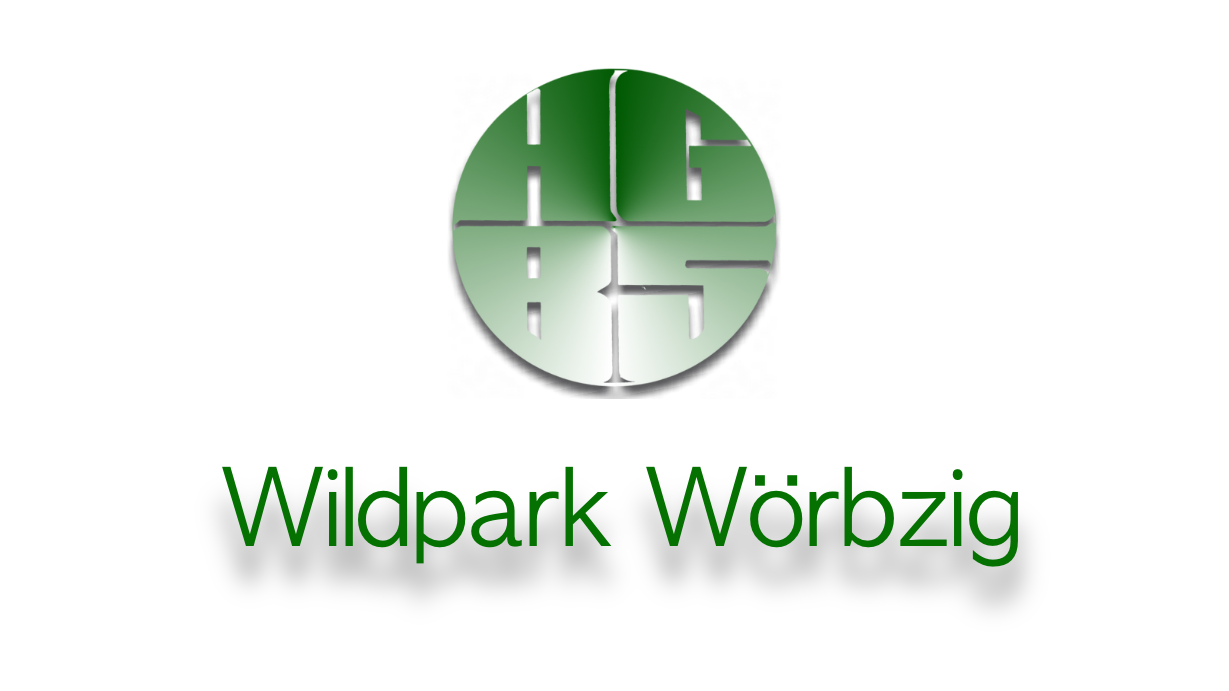 W.E.B. Windpark Wörbzig GmbH
